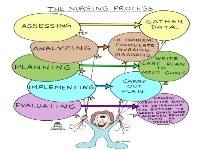 Rn 3.0 clinical judgement practice 1