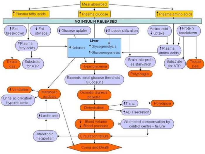 Concept map diabetes type template templates spider pathophysiology flowchart hierarchical