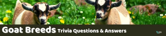 Goat trivia questions and answers