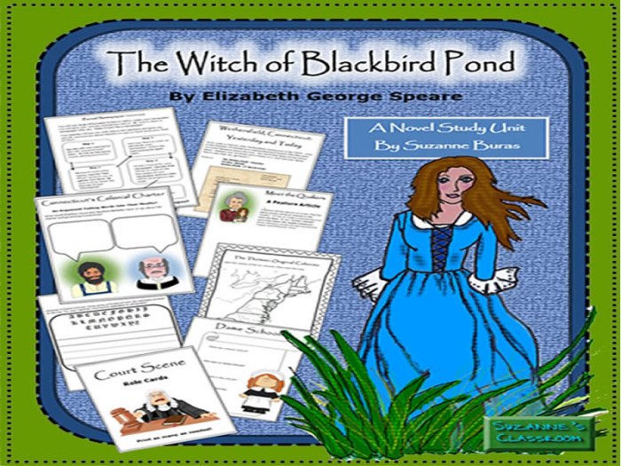 John holbrook the witch of blackbird pond