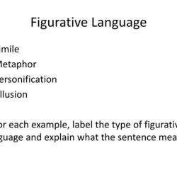 Figurative language in the crossover