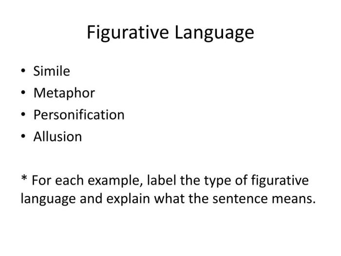 Figurative language in the crossover