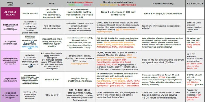 Hesi pharmacology exam test bank