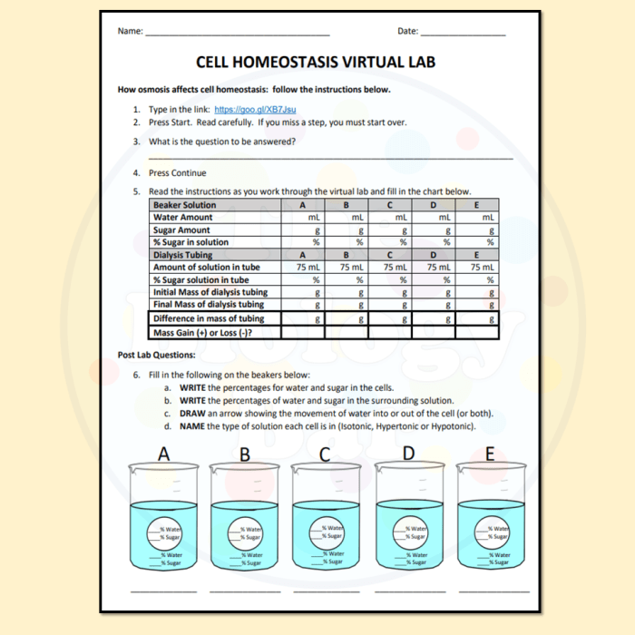 Cell homeostasis virtual lab answer key