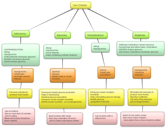 Concept map for diabetes type 2