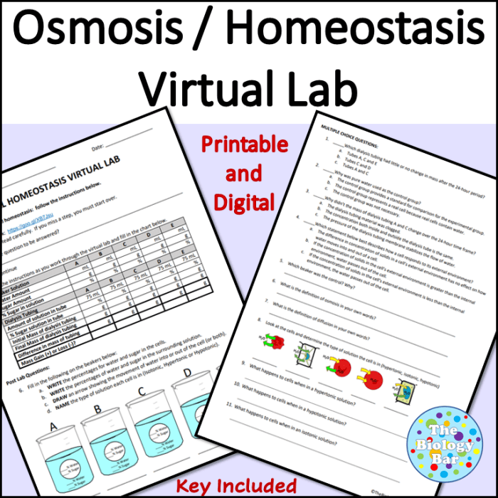 Cell homeostasis virtual lab answer key