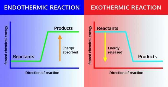 Exothermic endothermic