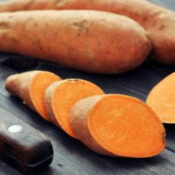 Eating a sweet potato provides energy for human metabolic processes